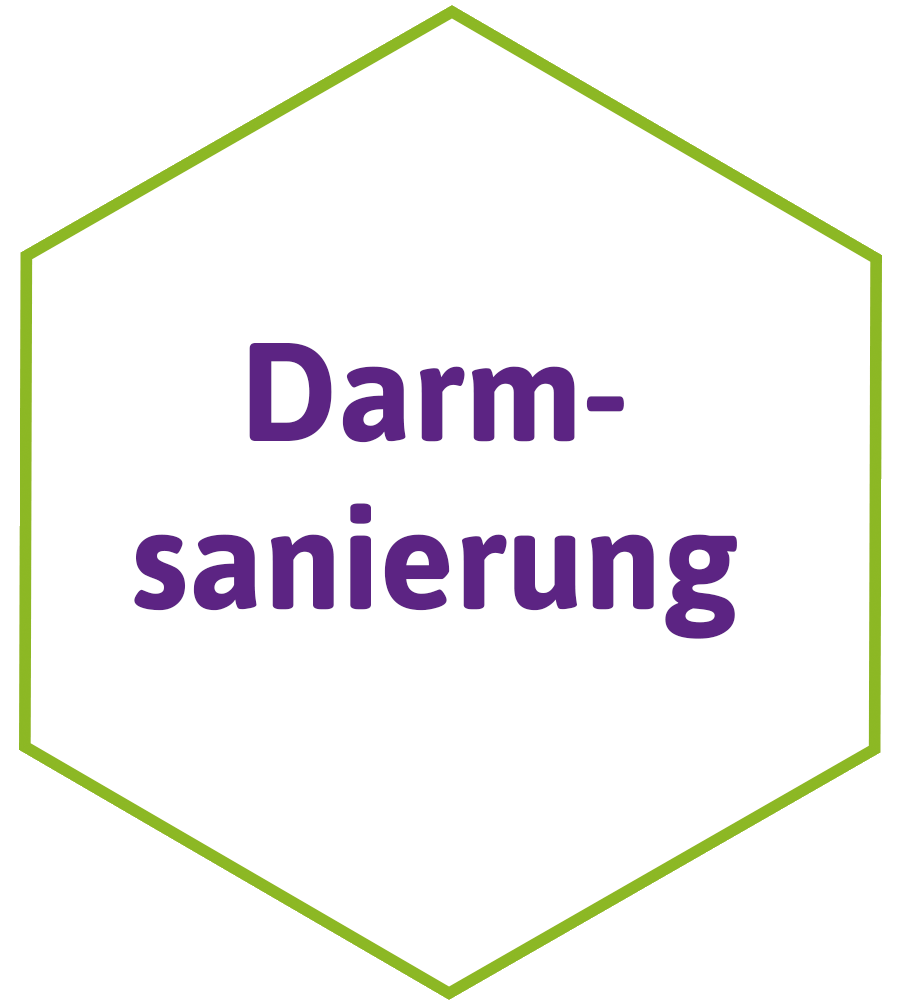 Darmsanierung in der Kieler Naturheilpraxis
