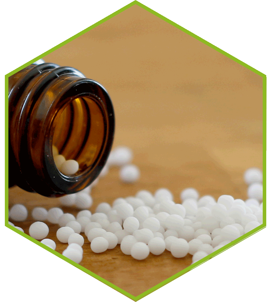 Homöopathie in der Kieler Naturheilpraxis