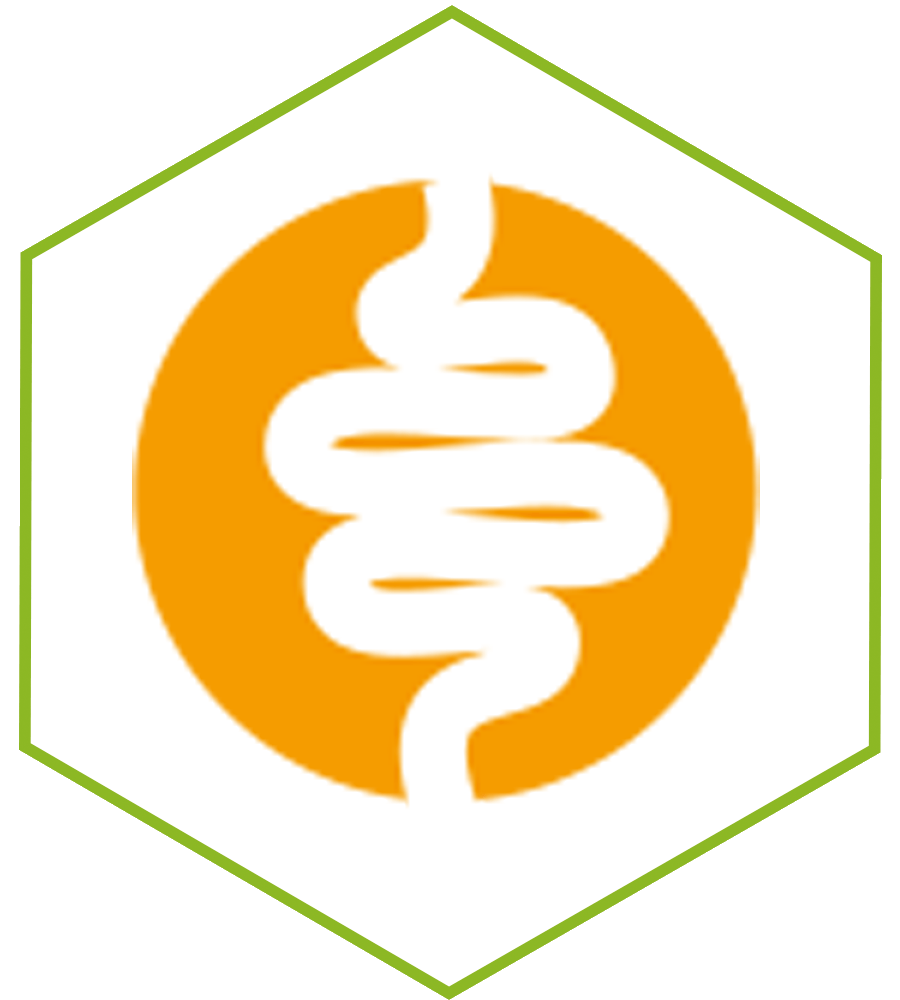Darmsanierung in der Kieler Naturheilpraxis