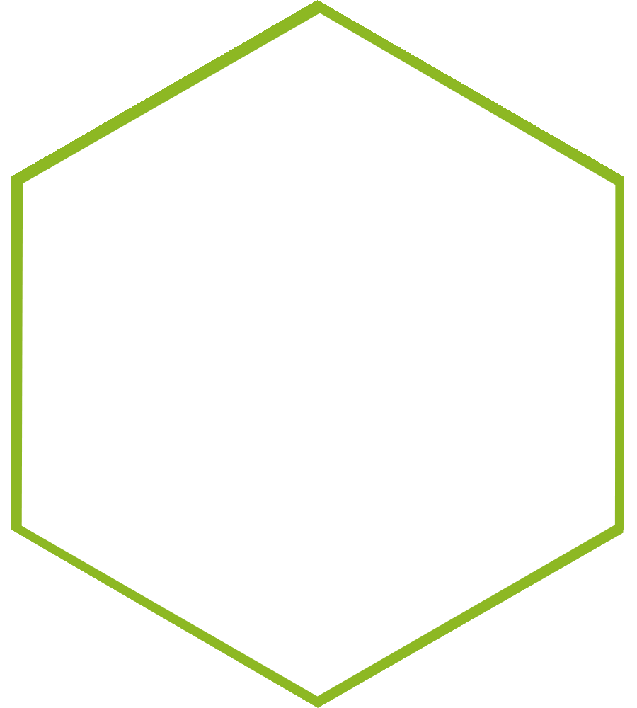 Darmsanierung in der Kieler Naturheilpraxis